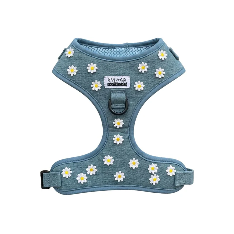 Sellerie Teckel Harnais Daisy
