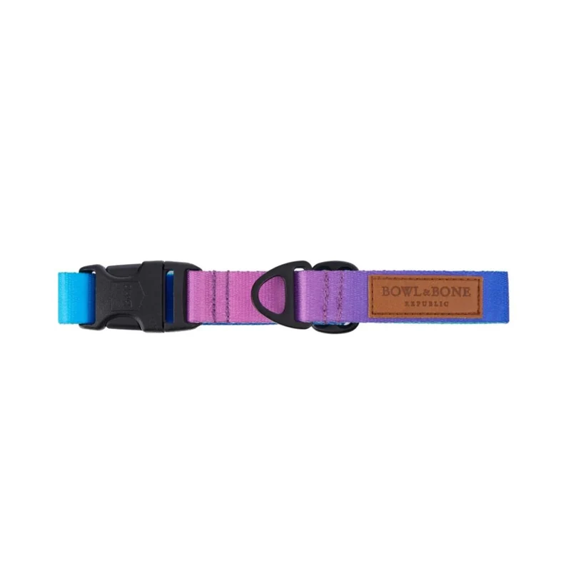 Sellerie Teckel Collier Gradient Menthe & Mauve