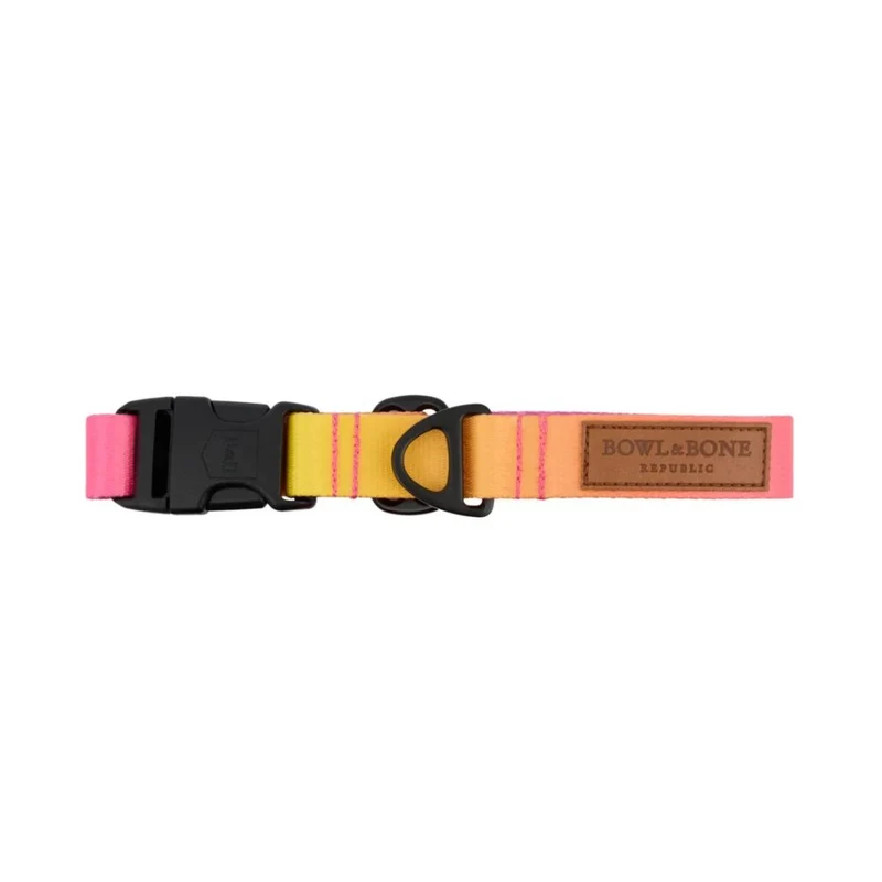 Sellerie Teckel Collier Gradient Rose & Jaune
