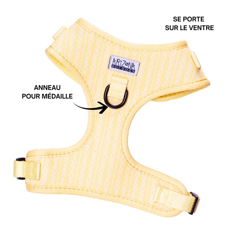 Sellerie Teckel Harnais Lemon Jaune