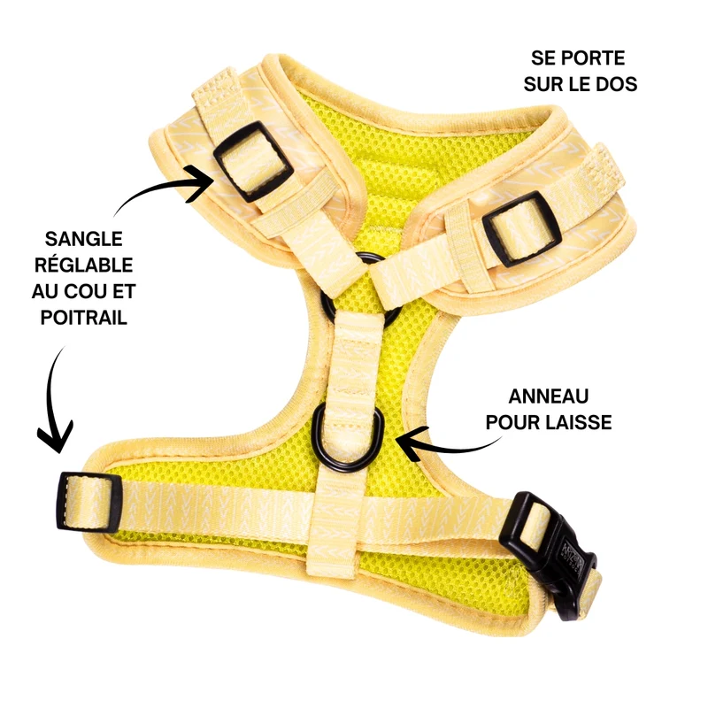 Sellerie Teckel Harnais Lemon Jaune