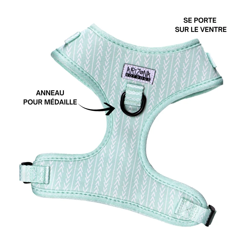 Sellerie Teckel Harnais Fresh Mint