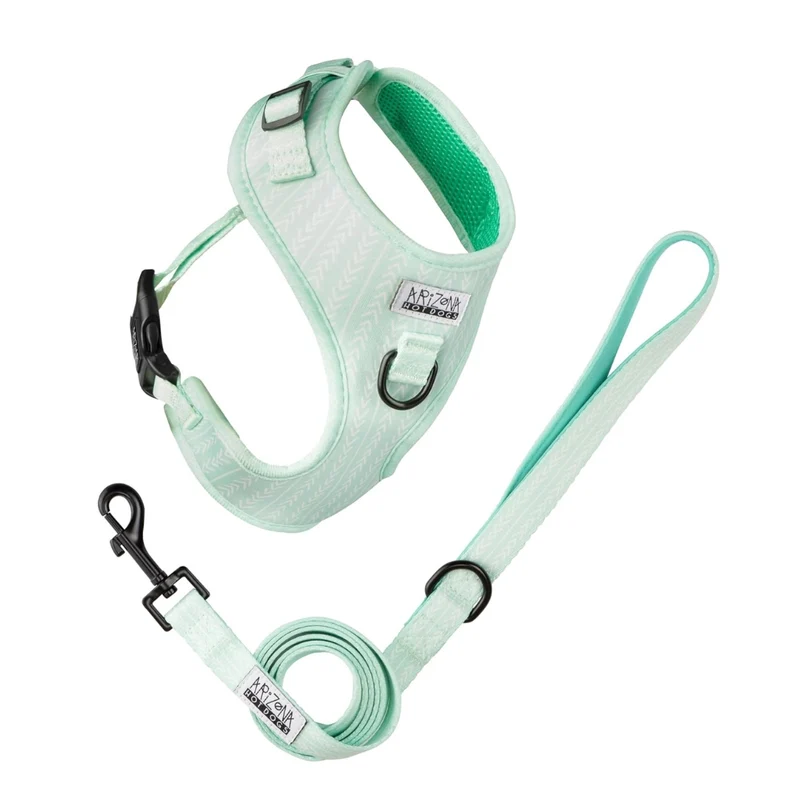 Sellerie Teckel Harnais Fresh Mint