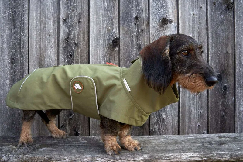 Vêtement Teckel Sangle Imperméable Vert
