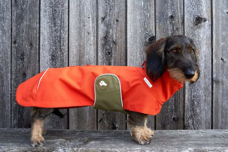 Vêtement Teckel Sangle Imperméable Vert