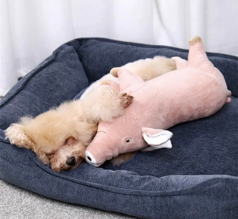 Piggy Paws Dog Toy