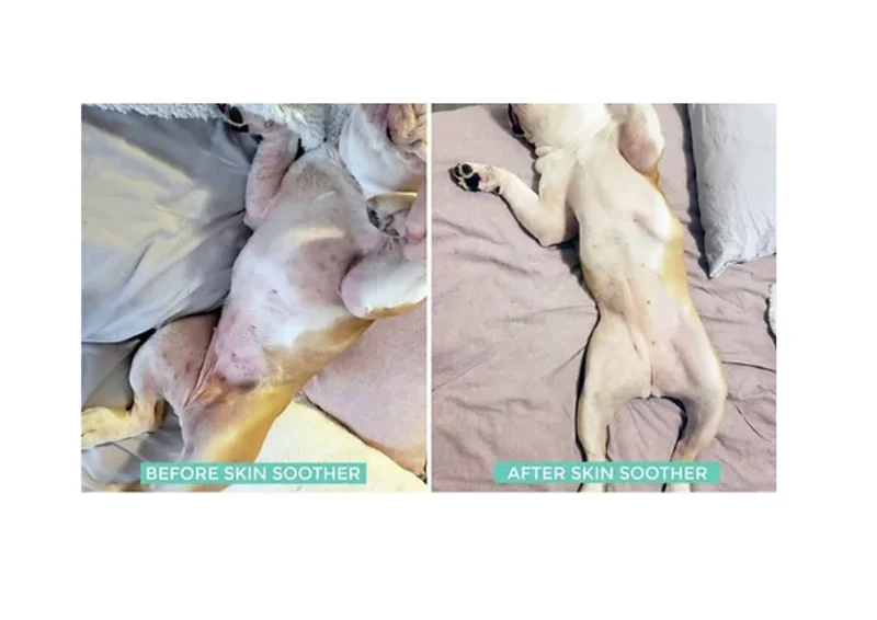 Organic Dog Skin Soother